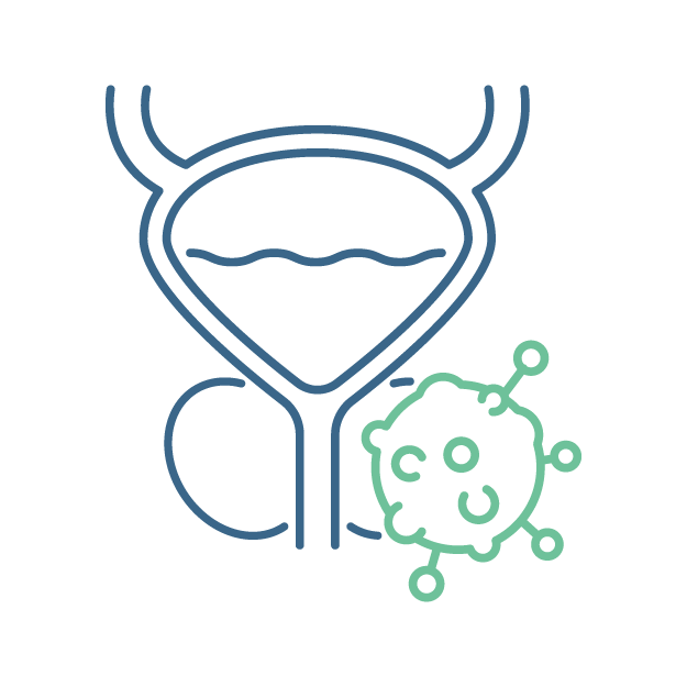 Prostate Cancer Icon